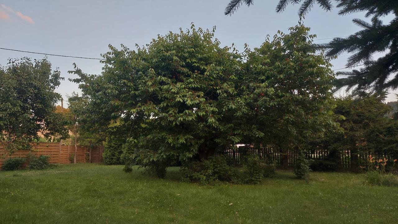 Apartamenty Stokrotka Lądek-Zdrój Exteriér fotografie
