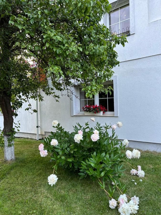 Apartamenty Stokrotka Lądek-Zdrój Exteriér fotografie