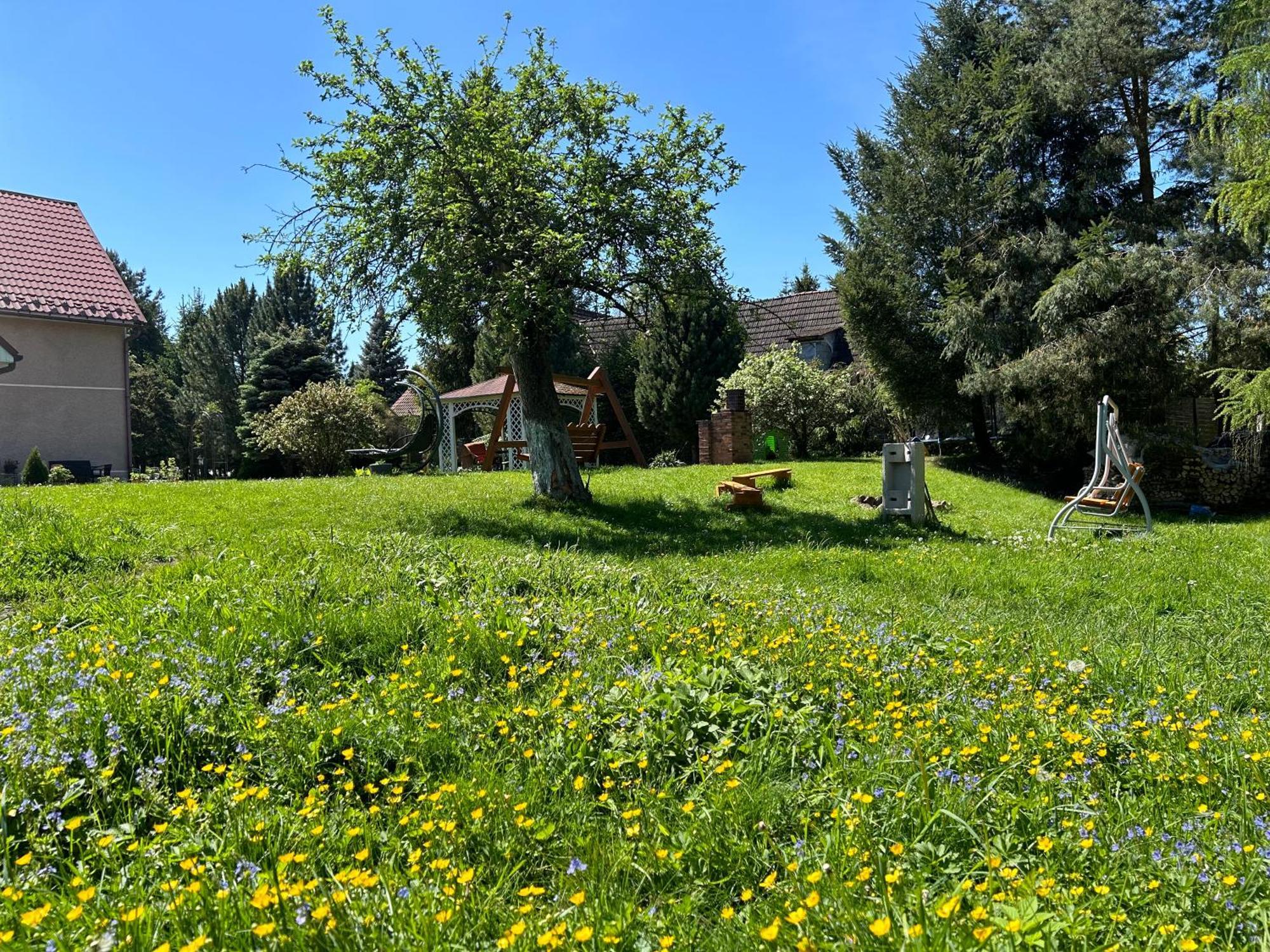 Apartamenty Stokrotka Lądek-Zdrój Exteriér fotografie