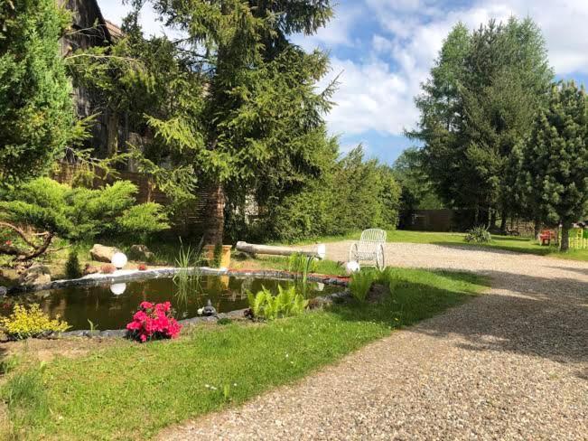 Apartamenty Stokrotka Lądek-Zdrój Exteriér fotografie